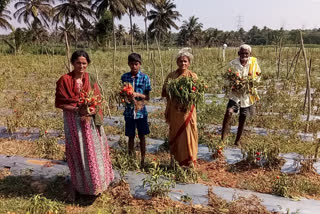 ಕೊರೊನಾದಿಂದ ಸಂಕಷ್ಟಕ್ಕೊಳಗಾದ ರೈತಕುಟುಂಬ