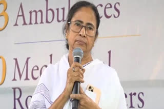 mamta