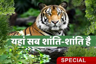 Birsa Munda Zoo, Zoo Ranchi, Ormanjhi Birsa Munda Zoo, Lockdown, Corona Virus, covid-19, बिरसा मुंडा जू, चिड़ियाघर रांची, ओरमांझी बिरसा मुंडा जू, लॉकडाउन, कोरोना वायरस, कोविड-19