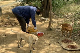 Singer Mohit Chauhan feeds stray animals