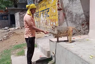 lockdown in prayagraj