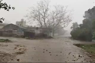 Damage to crops due to rain and hail