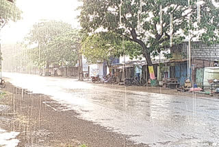 sangli rains