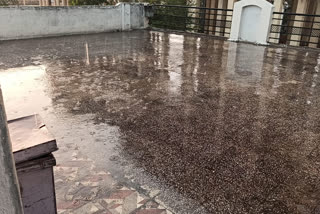 Heavy rain in akola