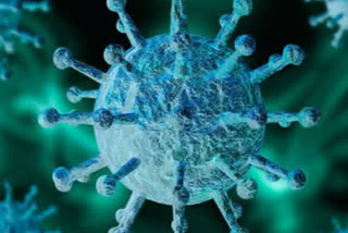 coronavirus  news