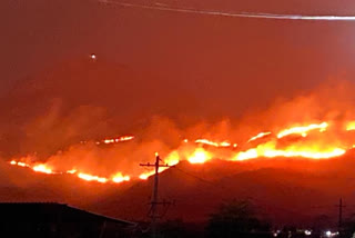 Fire up the hill:About 10 acres of woodland burned ashes