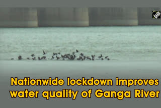 GANGA RIVER CLEAN DUE TO LOCKDOWN IN UP