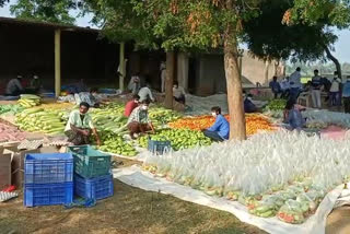 Distribution of vegetables to a thousand families