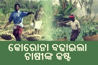 Bargarh farmers