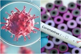 Corona virus Update jharkhand, Corona positive patient in bokaro, Corona positive patient in jharkhand, झारखंड में कोरोना वायरस अपडेट, बोकारो में मिला कोरोना पॉजिटिव मरीज