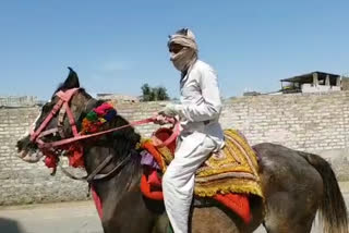 young man reached city riding mare in churu