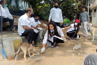 lockdown effect: sandalwood actress feed street dogs in Bangalore