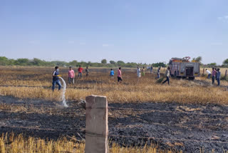 Fire in wheat crop, गेंहू की फसल में लगी आग