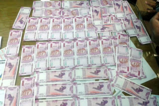 fake currency trafficking at malda , arrested 1