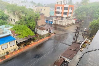 corona and rain sangli