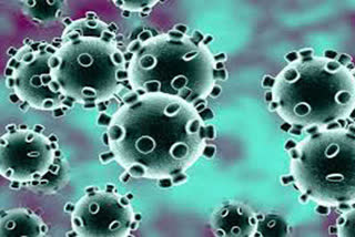 coronavirus victims in the country are 3577, died 83