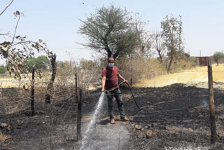 FIRE IN WHEAT FIELD