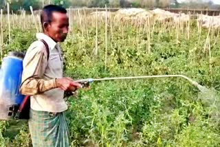 farmers suffering due to lock down barpeta road