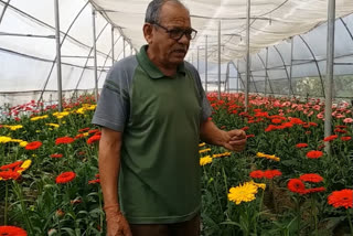 HALDWANI flower corona impact news