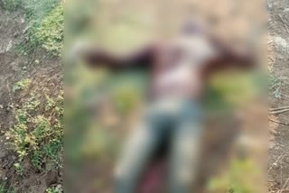 unidentified-persons-dead-body-found-at-hatta-in-hingoli