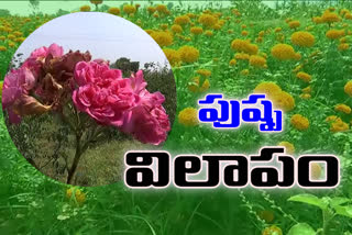 flower farmers problems in vizayanagaram