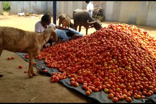 Corona Effect: A farmer who does not sell vegetables