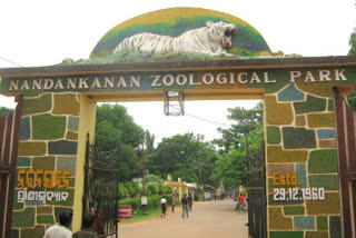 nandankanan zoo