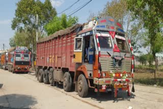 Market administration caught trucks filled with wheat