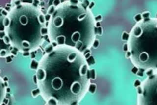 China reports no new Coronavirus death