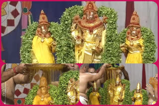 Annual Spring Festival of Thirumala srivenkateswara swami in thirupathi chittoor