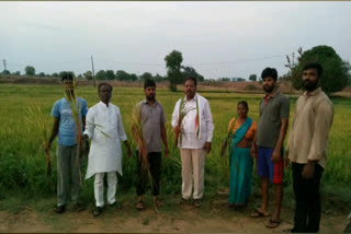 farmers struggle for un season rains in nagarkurnool