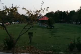 chandigarh sector 21 park