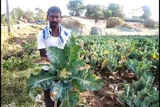 farmers producing vegetables in ranchi