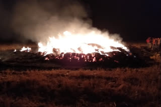 Unknown rogues set fire to a pile of wheat in the barn