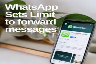 COVID-19: WhatsApp introduces a limit so that the messages can only be forwarded to one chat at a time.