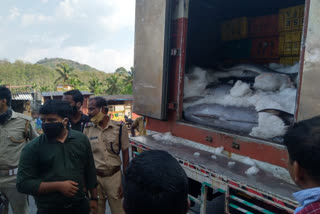 തമിഴ്നാട്  കേരളം  നാഗപട്ടണം  പഴകിയ മത്സ്യം  ആര്യങ്കാവ് ചെക്ക് പോസ്റ്റ്  Tamil Nadu  fish  caught