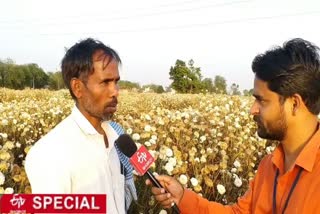 flower-trade-collapsed-lock-down-gwalior-chambal-zone