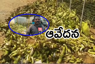 Anandapuram farmers suffering for Ananthapuram green banana in visakha