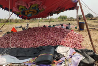 Corona Effect: farmers facing market issue to sell onions in lockdown days