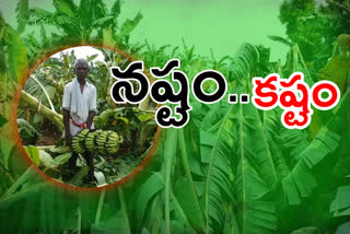 due-to-heavy-rain-banana-farmers-lossed-their-crop-in-obulavaripalli-in-kadapa