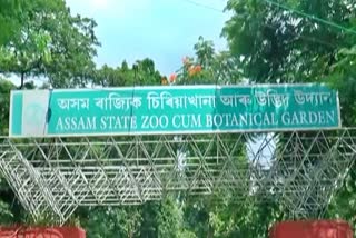 Assam state Zoo iniciative to cure Covid 19