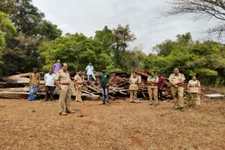 പാക്കം സ്രാമ്പി  pakkam srambi  പാക്കം സ്രാമ്പി നിലംപൊത്തി  pakkam srambi crashed