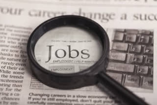 India hiring declines