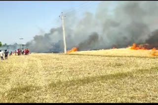 80 bigha crop destroyed due to fire in Rohtas