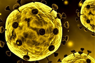 steps taken by world government in fight against coronavirus