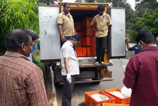 പാലായില്‍ കേടായ മത്സ്യം പിടിച്ചെടുത്തു നശിപ്പിച്ചു  പാലാ  കോട്ടയം  damaged fish destroyed at pala