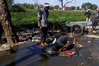 Scavengers who spray sanitizer scorched