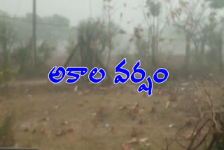 The sudden rain in Yadadri Bhuvanagiri district has destroyed many crops