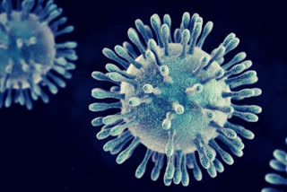 Coronavirus