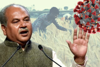 Agriculture Minister Narendra Singh Tomar